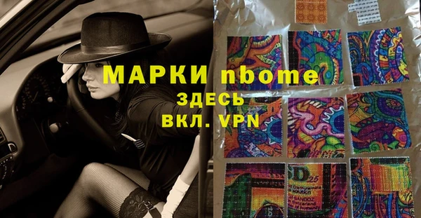 стаф Аркадак