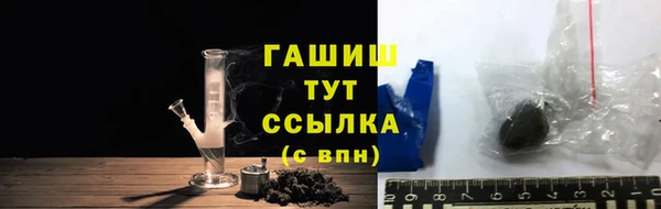 стаф Аркадак