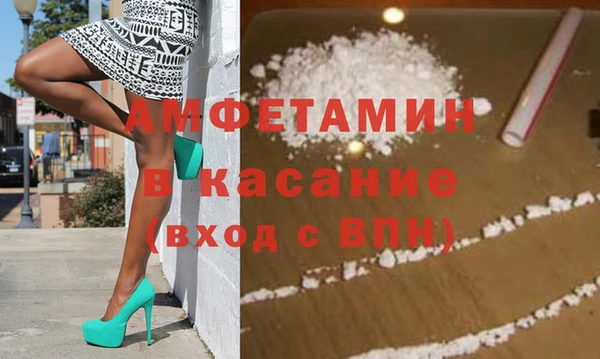 стаф Аркадак